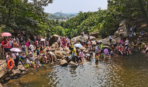 連云港市云臺(tái)山風(fēng)景名勝區(qū) 精細(xì)化園區(qū)管理服務(wù)，繪就山海文旅新畫卷
